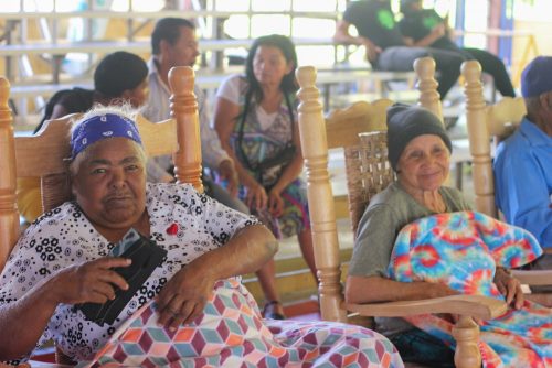 Campamento sembrado lecto-escritura y medio ambiente.